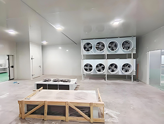 安裝一個快速凍庫需要多少錢？